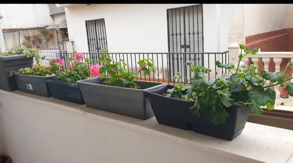 Apartamento Brianna Jerez de la Frontera Exterior foto